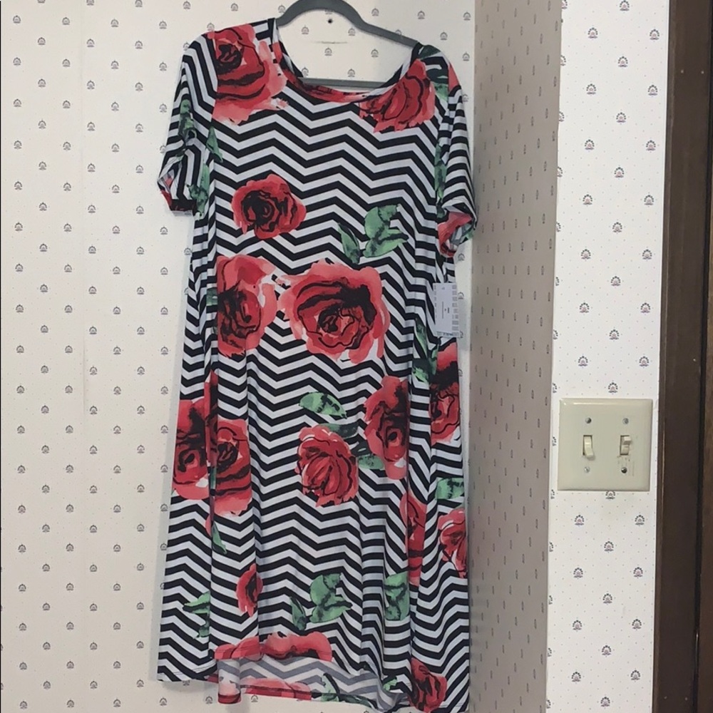 LulaRoe XL Jessie Dress (has pockets)